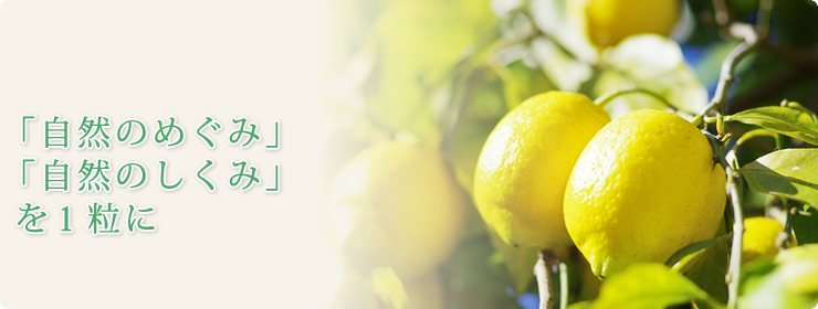 「自然のめぐみ」「自然のしくみ」 を1粒に