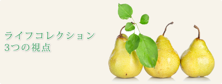 ライフコレクション3つの視点
